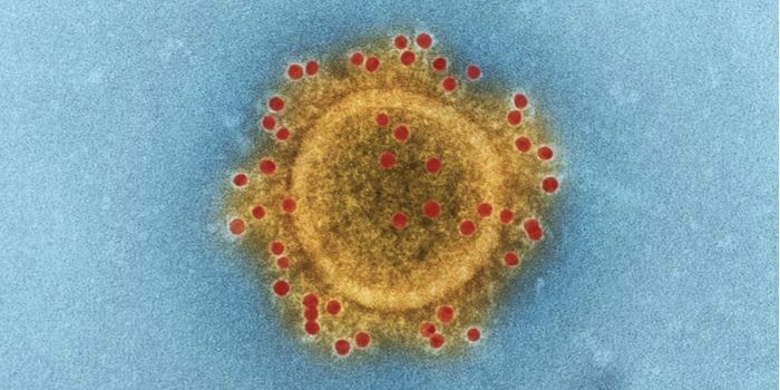 New Coronavirus is Spreading in China