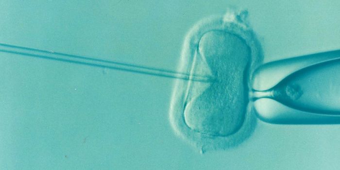 6 New Cutting-Edge Technologies in Reproductive Biology