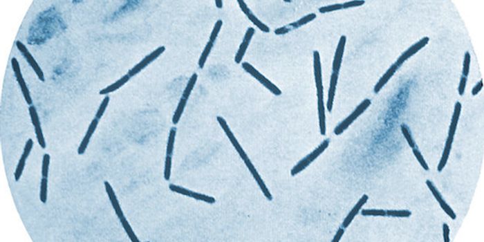 Environmental Factors Drive Belly Fat Buildup