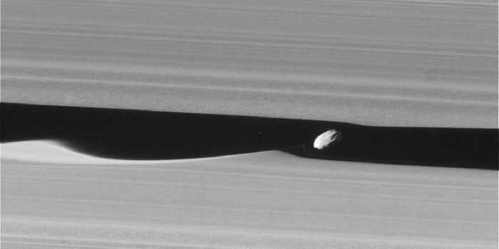 Cassini Grabs Pictures of 'Waves' in Saturn's Rings, Created by a Moon