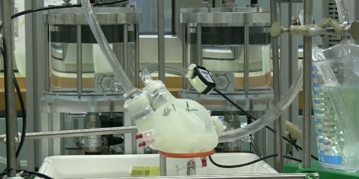 Scientists Design Artificial Silicone Heart