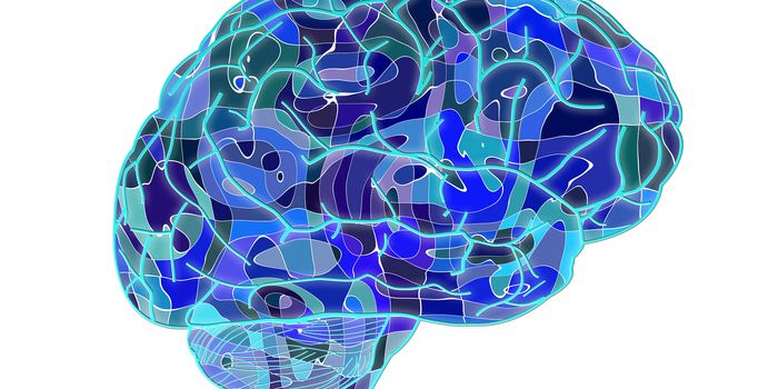 Does a High-fat Diet Shrink the Brain?