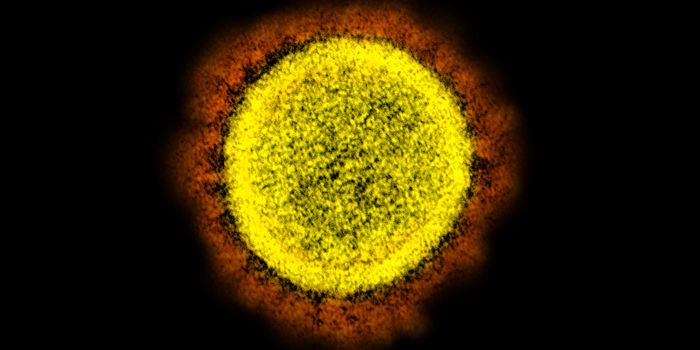 The Loss of a Sense of Smell May be a Major Symptom of COVID-19