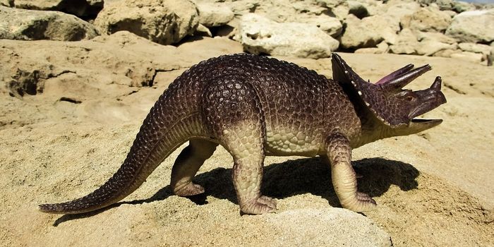 Knowing the past to know our future