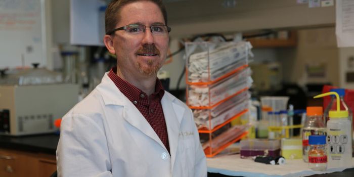 Sea Sponges Could Help Fight Tuberculosis