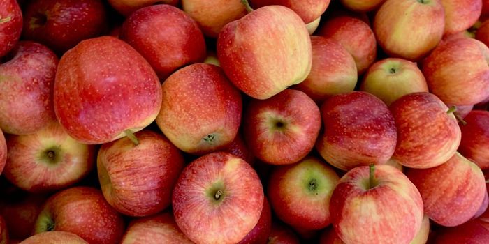 Apple-based Compound May Protect Against Periodontal Disease