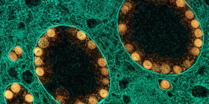 SARS-CoV-2 Can Infect Liver Cells, Impairing Glucose Metabolism