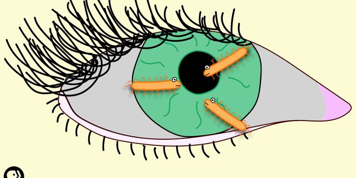 The Gross Reality of What's Living on your Contact Lenses
