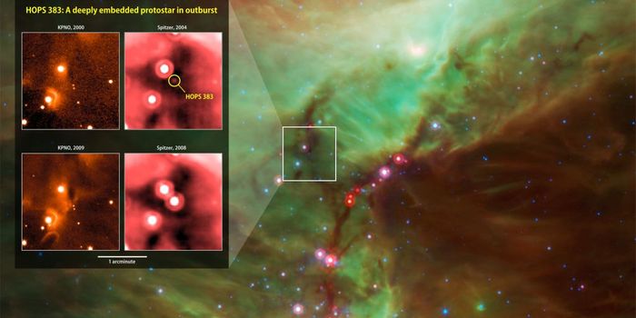 A Star is Born...No, Really!