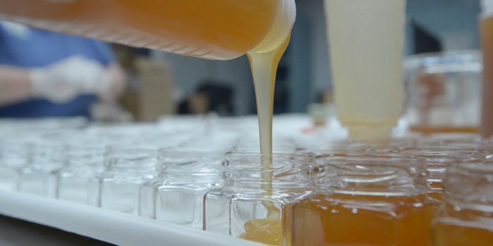 The People's Garden Honey Bee Harvest