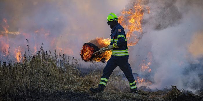 Decades Later, Wildfires Increase Risk of Cancer
