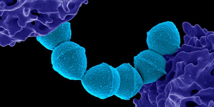 New Strep A Variants are Found, Genetics Shows Why They Are Deadly