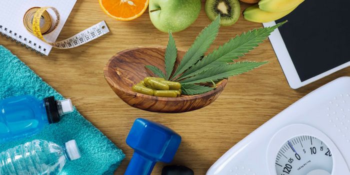Cannabis Health and Wellness Fair Announced for April 2018 in Denver Area
