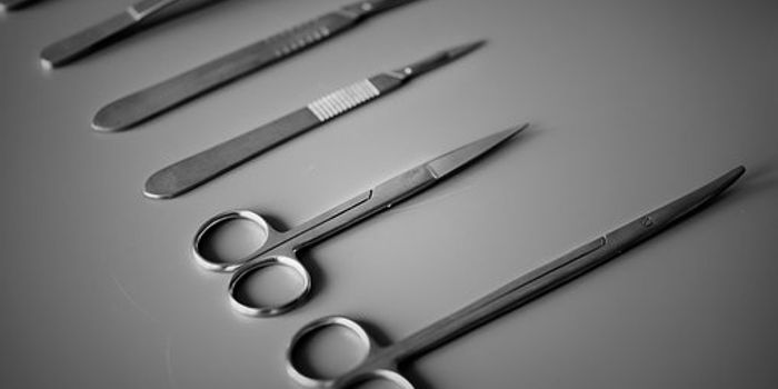 Transplant Options In The Face Of Shortage