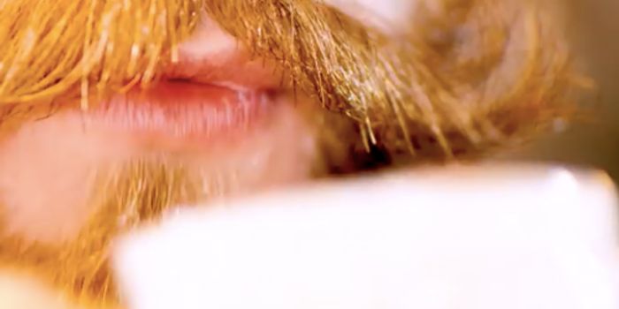 A Hangover Cure in a Pill