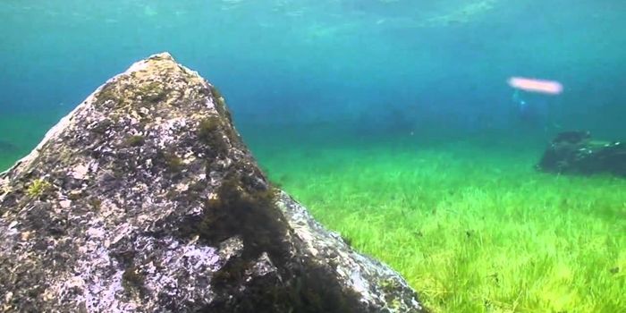 This park becomes an underwater wonder every year