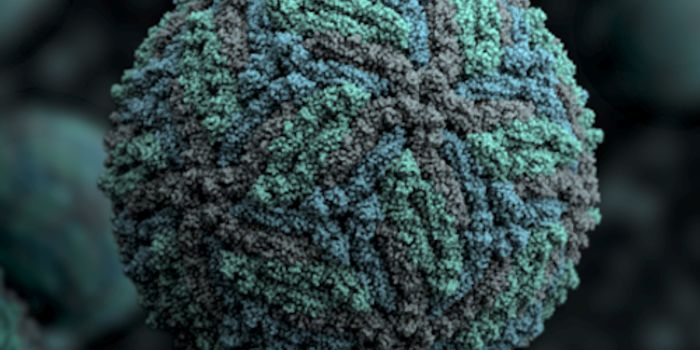 Antiviral Compound Found in the Human Body