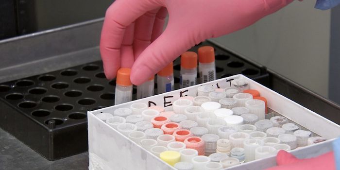 Trial Shows Personalized Cancer Vaccines are Safe