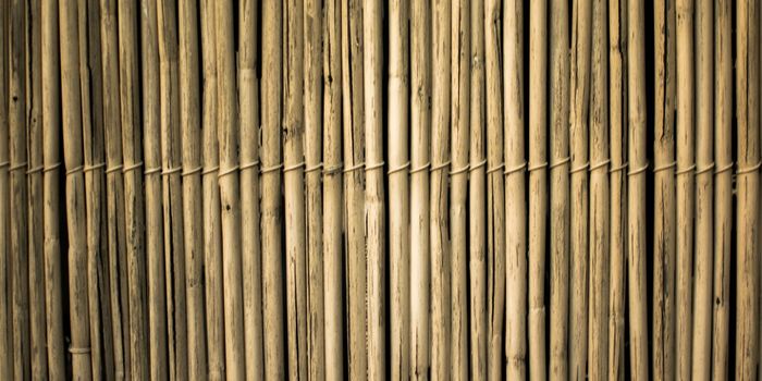 Using an Embalming Technique to Make Bamboo Fibers Stronger