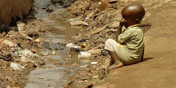 Bacteria Overgrowth Could Be Major Cause of Stunted Growth