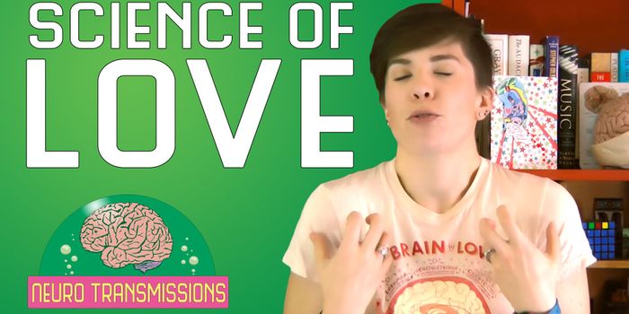 Love is in the Air...and Your Brain