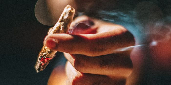 Pharmaceutical CBD Better for Epilepsy than Artisanal CBD