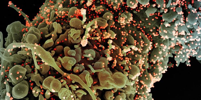 First COVID-19 Death Happened in the US Far Earlier Than We Thought