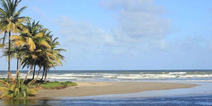 Using marine sulfur in plants to track climate