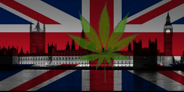 United Kingdom Medicinal Cannabis Policy Under Microscope