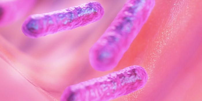 Bacteria Have Had a Significant Impact on Insect Diversification