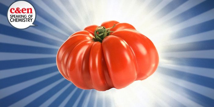 Creating a Tastier Tomato