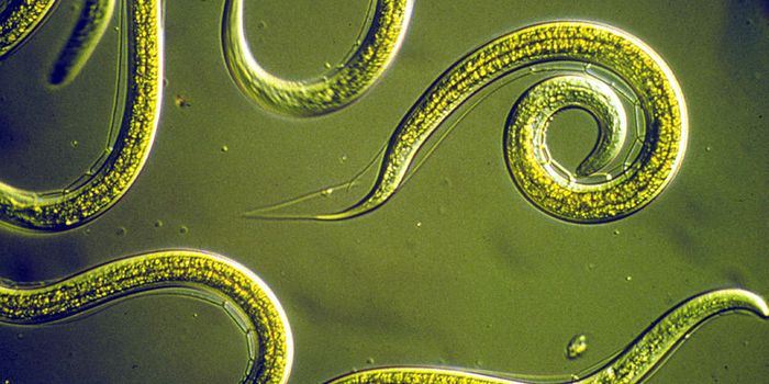 What it means to be human. We might need a broader definition.