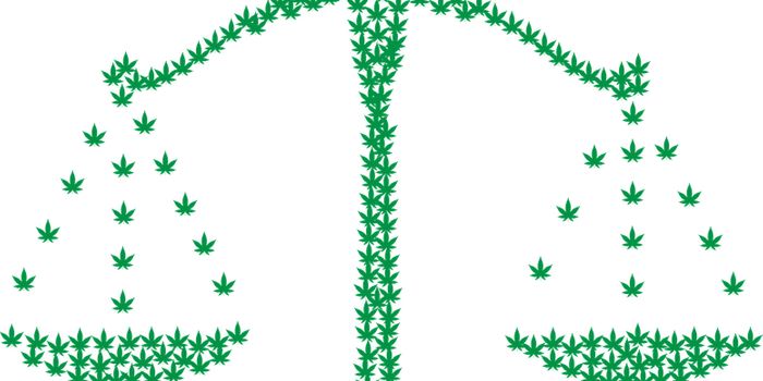 Cannabis Policy Changes: What Can We Expect in 2018?