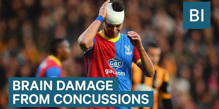 Hard Knocks: How the Brain Responds to Trauma