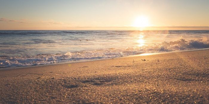 Beaches Could Disappear Because of Climate Change