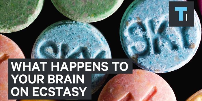 What an Ecstasy-Induced Trip Feels Like