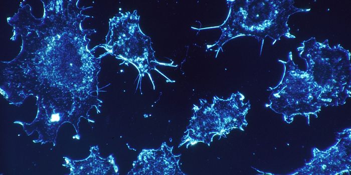 A Bacterial Protein can Encourage Cancer Development