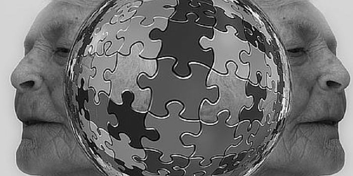 Brain Game Company Fined For False Claims