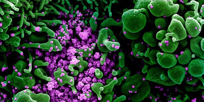 A New Way to Quickly Test for COVID-19