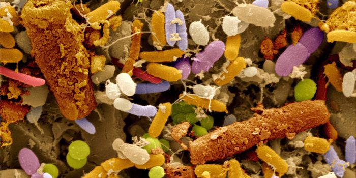 The Gas in Your Gut  May Contain Clues About Your Health