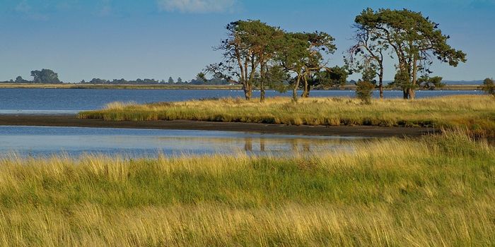 90% of protected wild areas are fragmented