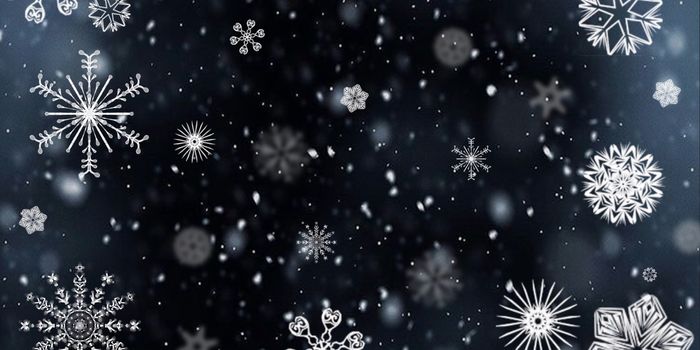 Scientists predict winter weather months ahead using new method