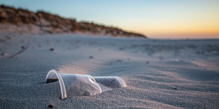 New Studies Stress That Plastics are Harming Health