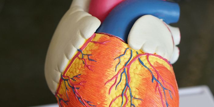 Seven heart health factors linked to risk of dementia