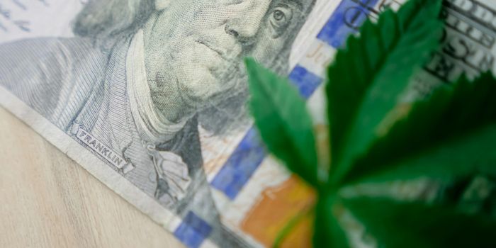 State-Regulated Recreational Cannabis Markets Displace the Illegal Cannabis Market Supply