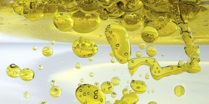 High-Fat Diet Causes Chain Reaction That Leads to Cancer