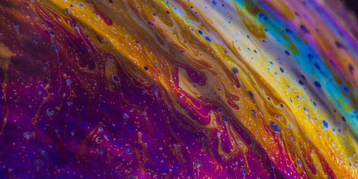 Gut Bacteria Proteins Directly Impact Immune Cells