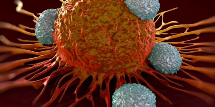 Recent Peptide-MHC Exchange Publications Using QuickSwitch Technology™