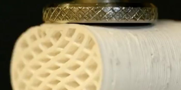 Printable Bone Grafts may Change Therapeutics