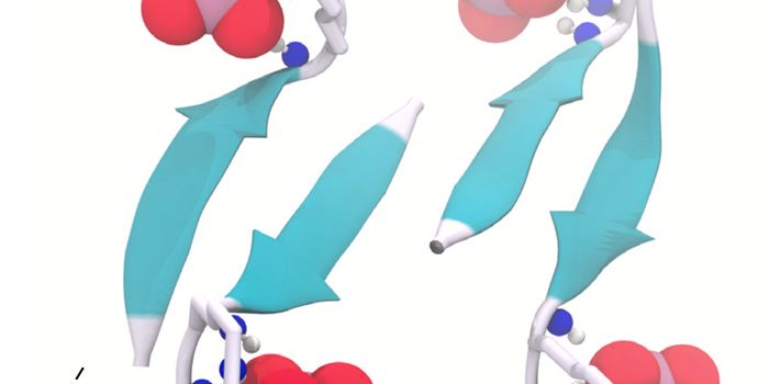 From Soil to Savior: New Antibiotic's Multi-Pronged Attack